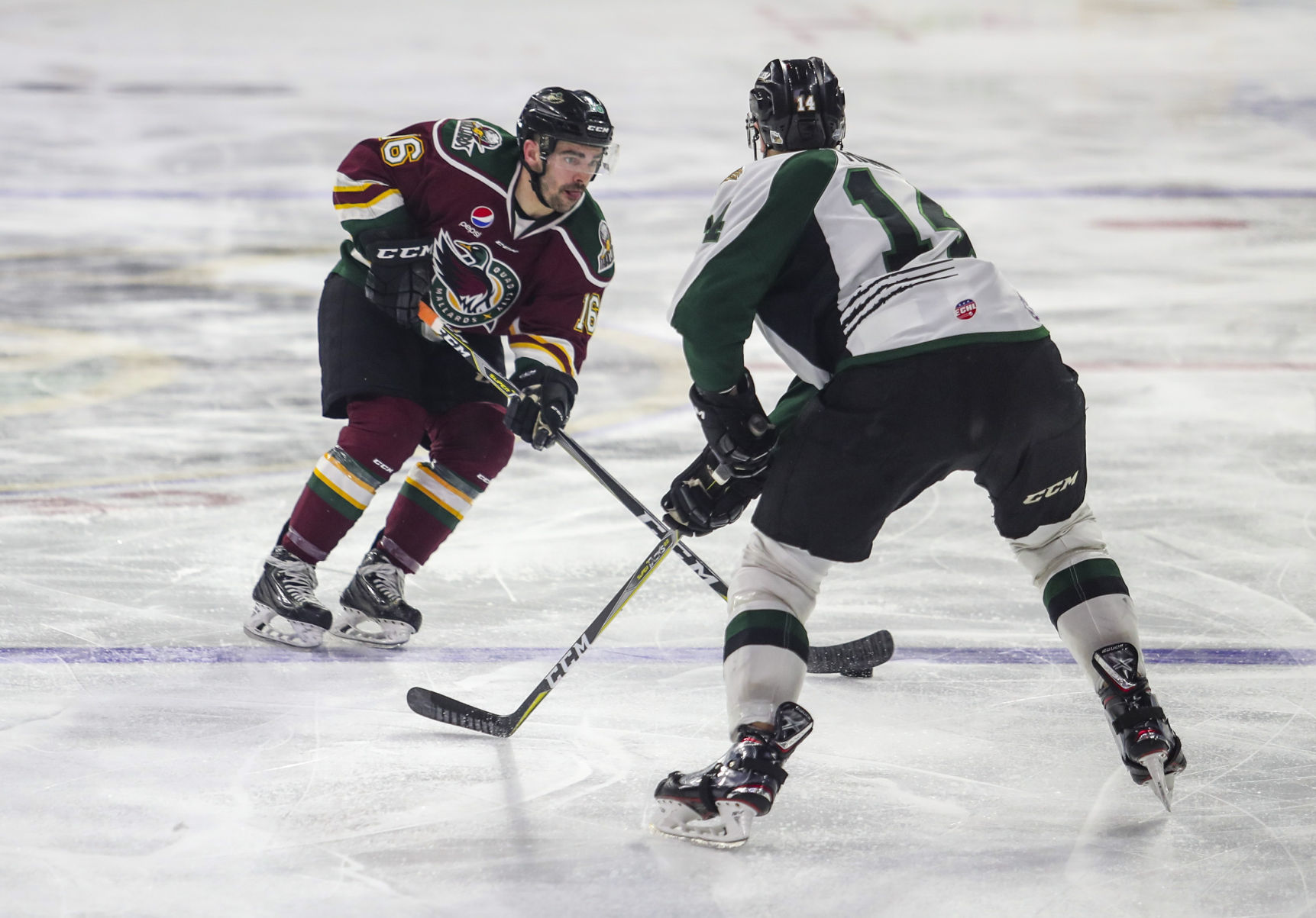 022818-UTAH-GRIZZLIES-QC-MALLARDS-025